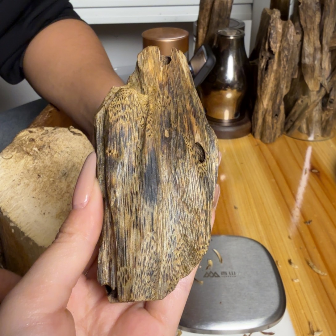 沉香陆河虫漏30克