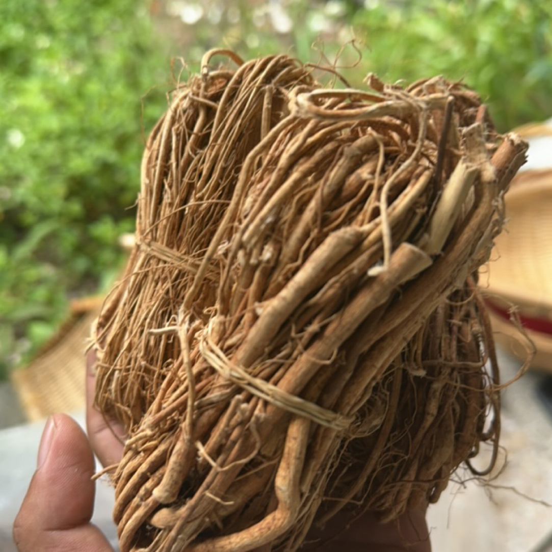 【秦巴本草】村书记助农 秦岭深山采挖野生滋补炖汤五指毛桃250g