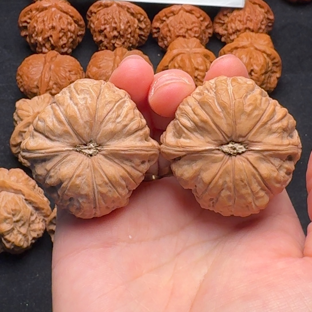 文玩核桃精品南瓜41全