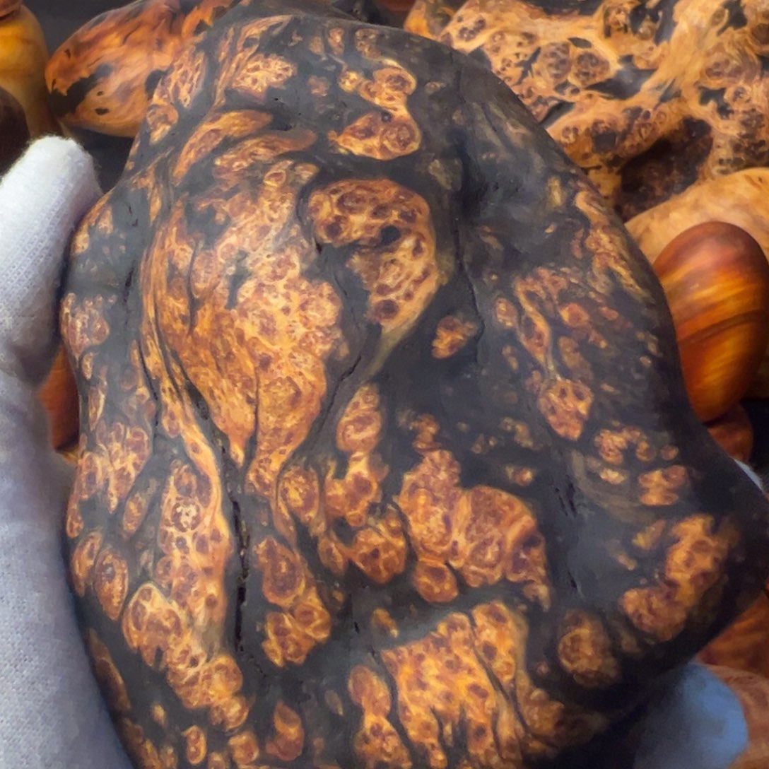 山***牛琥珀木长白山琥珀木