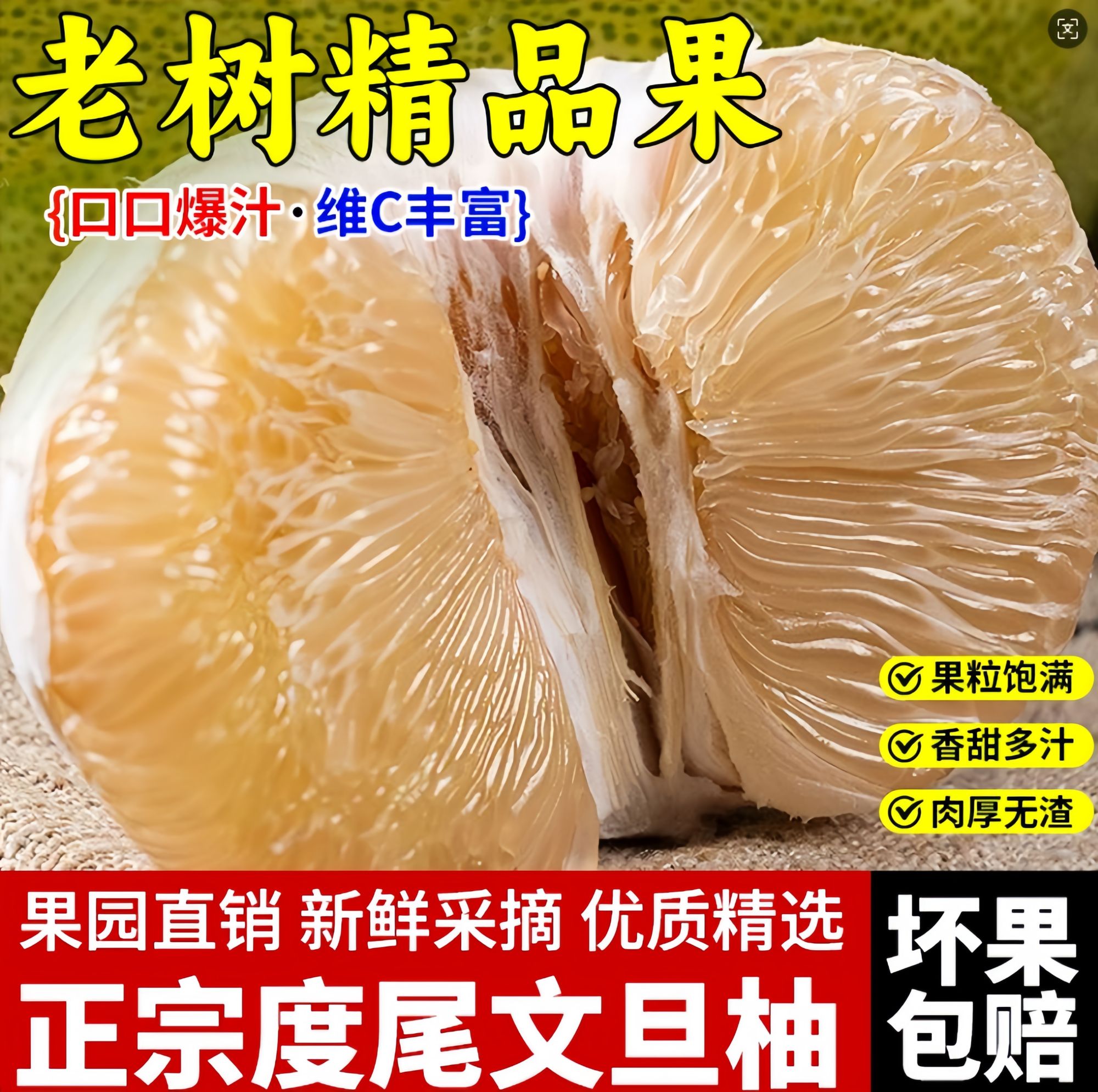 正宗福建红心柚子度尾文旦柚现摘当季整箱应季新鲜孕妇水果礼盒装