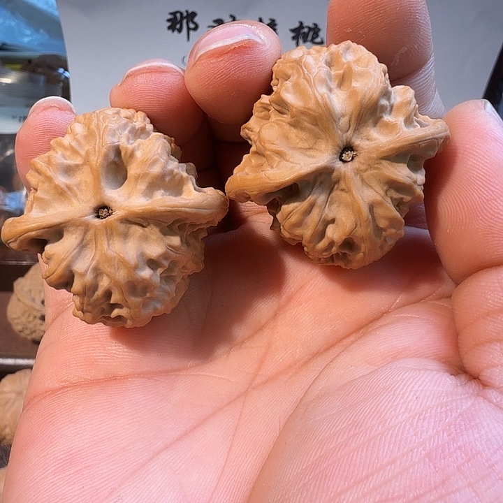 核桃38全品野狼核桃