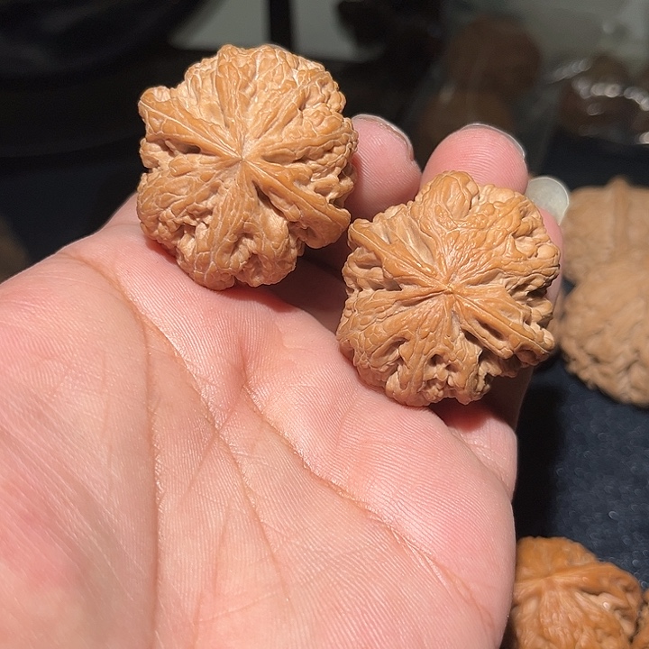 木41平谷球筋。    