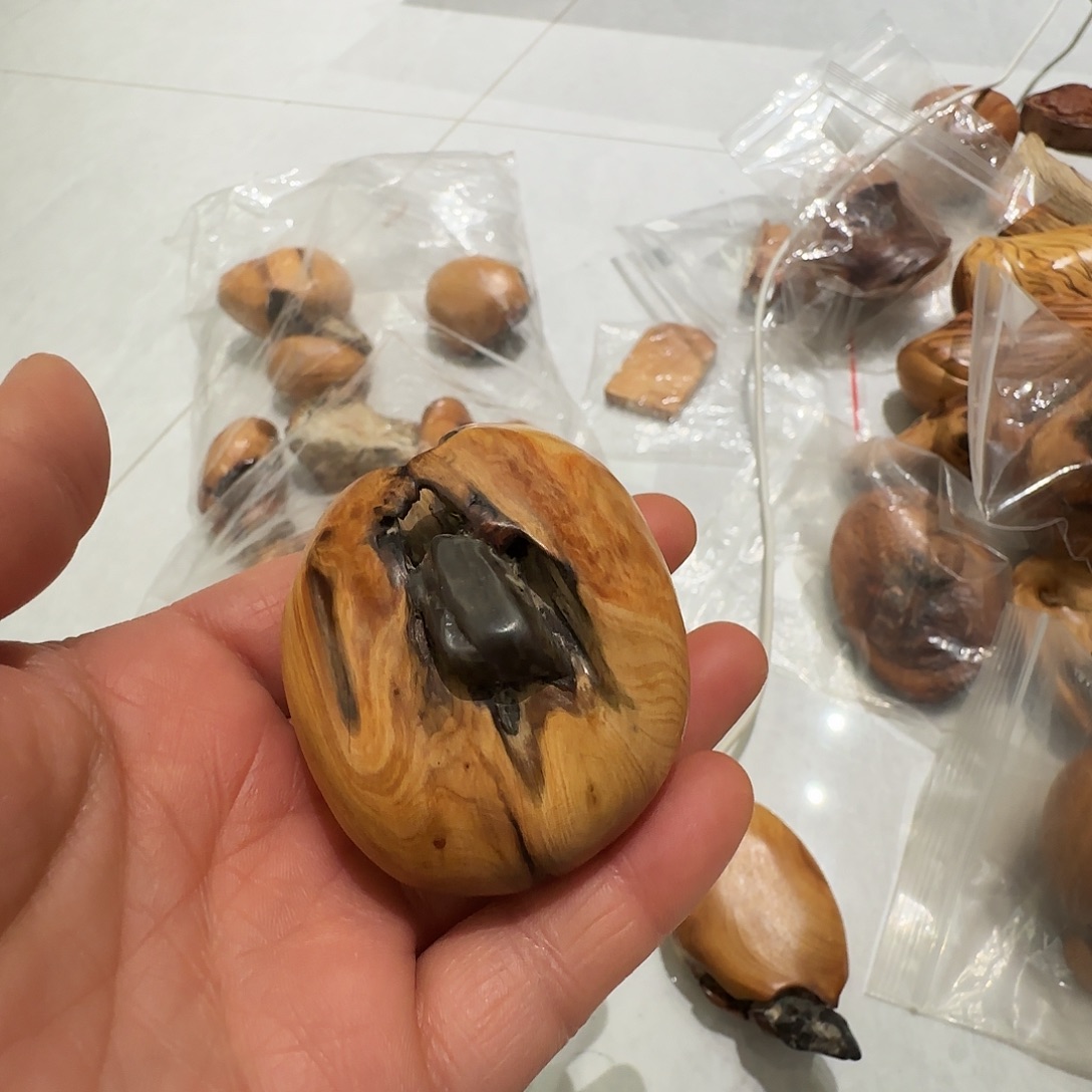 强***志柏木（崖柏）太行崖柏陈化黑油抱石手把件