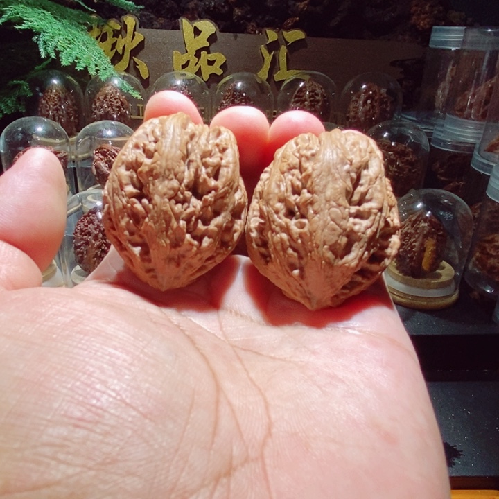 文玩核桃把件帝王蛤