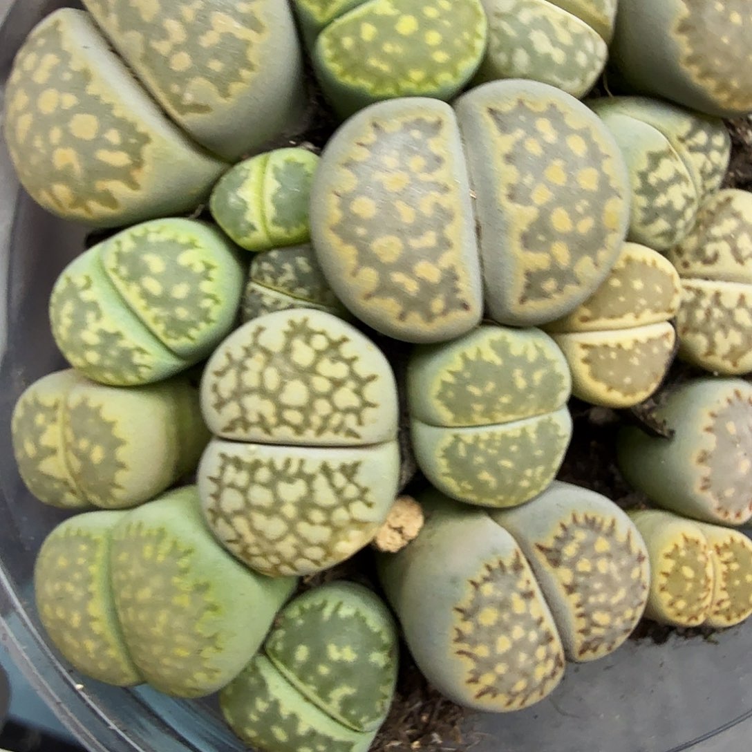 你不去上班呀么298这个