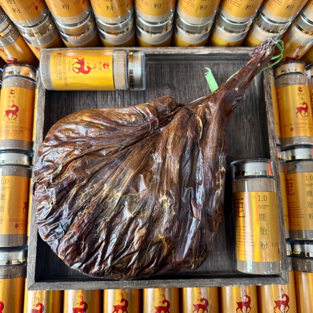 【吉林长白山】正宗鹿胎粉优质鹿产品