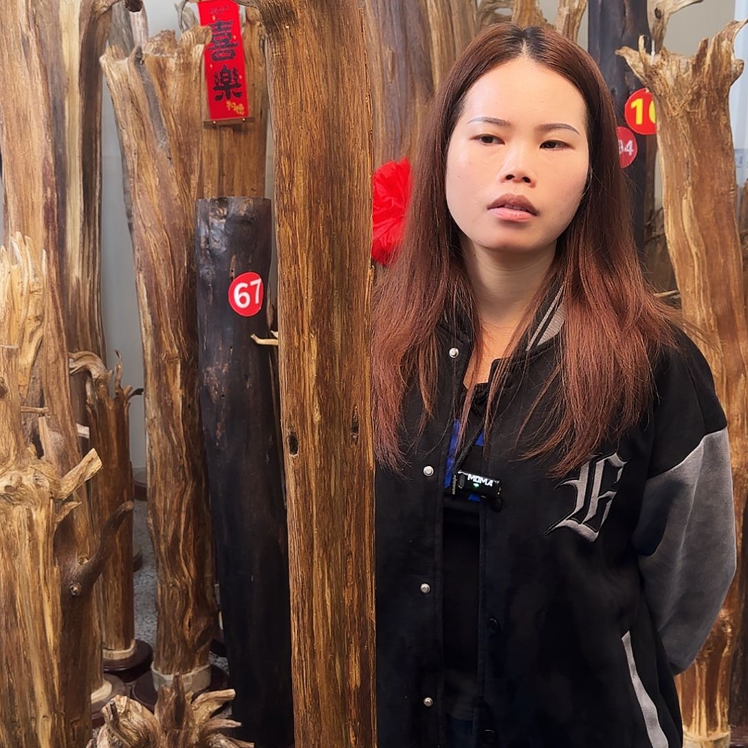 沉香摆件用****2天然沉香原木摆件➕底座
