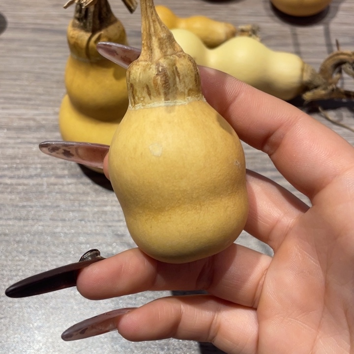 半***翠葫芦葫芦葫芦葫芦