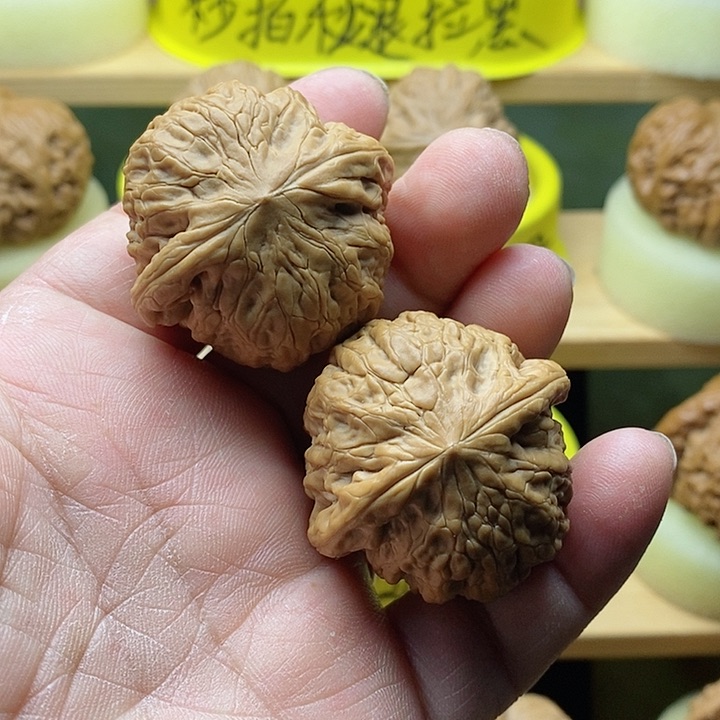 拍吧拍吧拍吧拍也拍吧拍