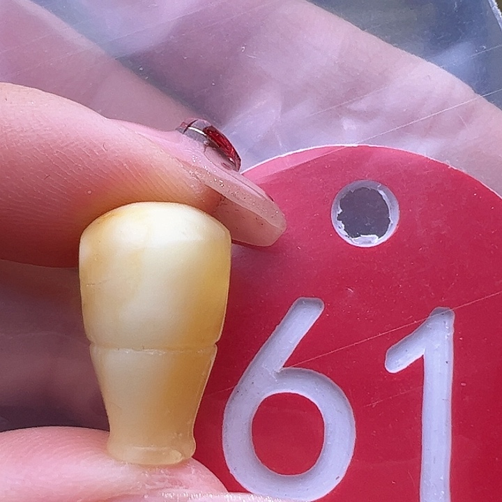 蜜蜡裸石未镶嵌微瑕 10mm三通