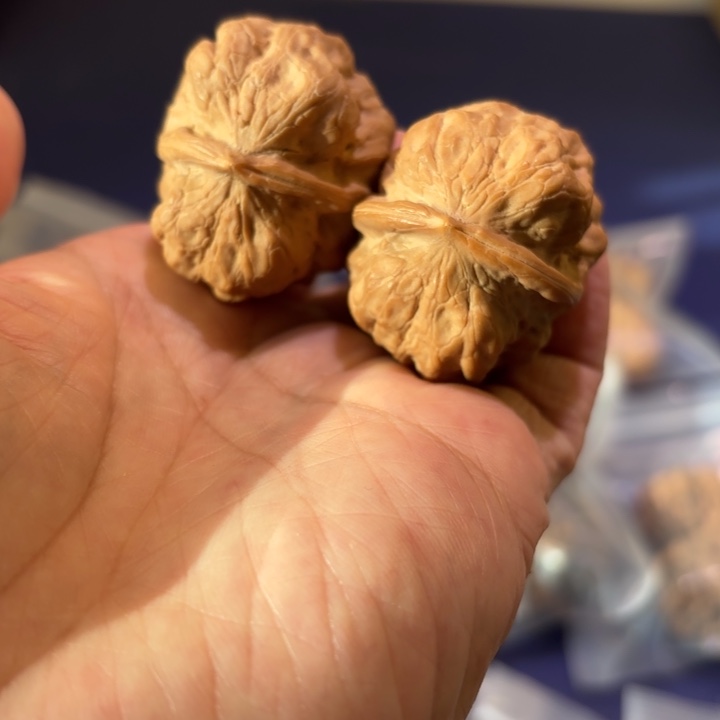 吊坠文玩核桃金蟾疙瘩包