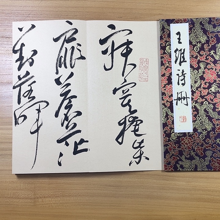 书法中书协会员作品