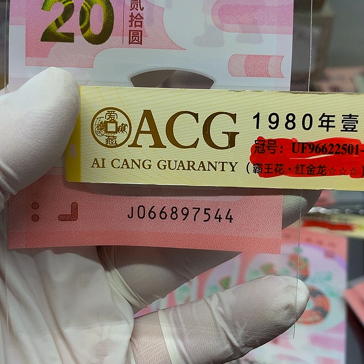 一张一张一张一张一张