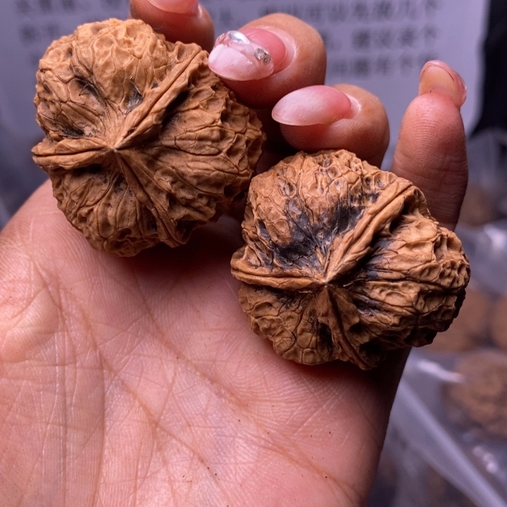 核桃云南野生铁核桃152号37mm