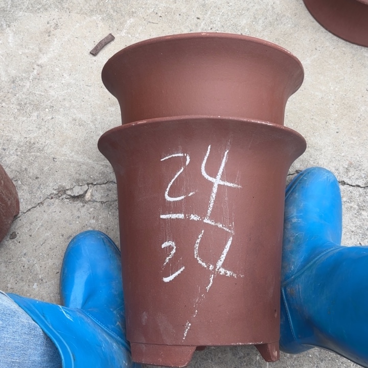 花盆紫砂紫砂的颜色