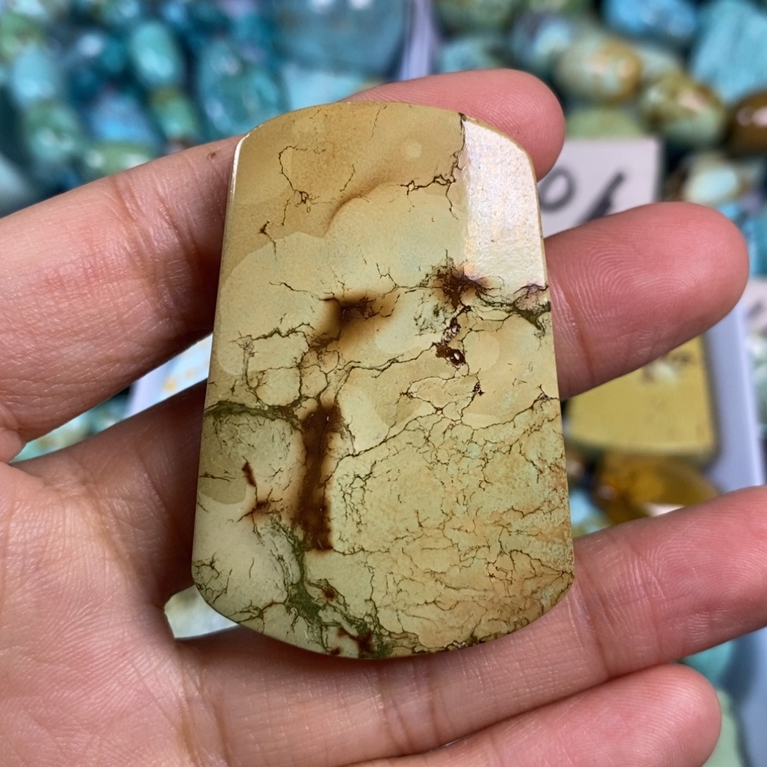 绿松石未镶嵌颈饰