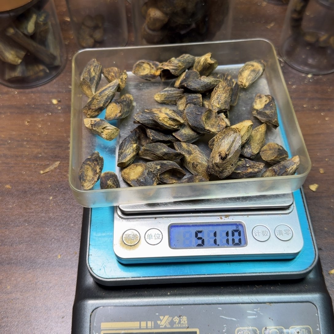 清***在沉香碎屑沉香树钉50克