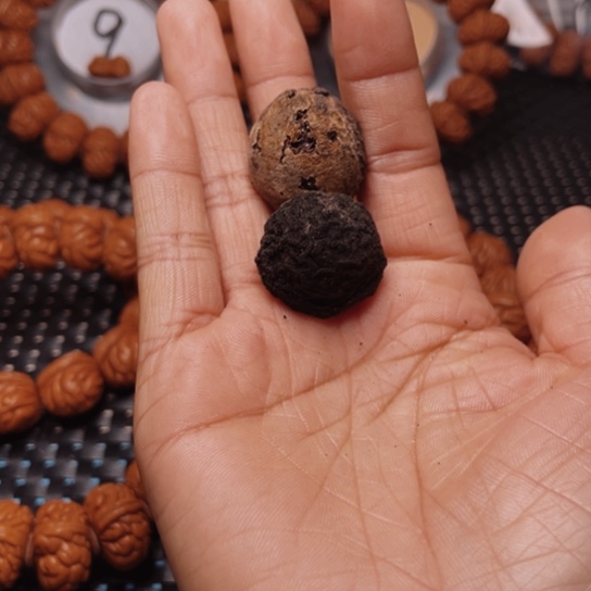 桃核手串世****平龙纹桃核15颗