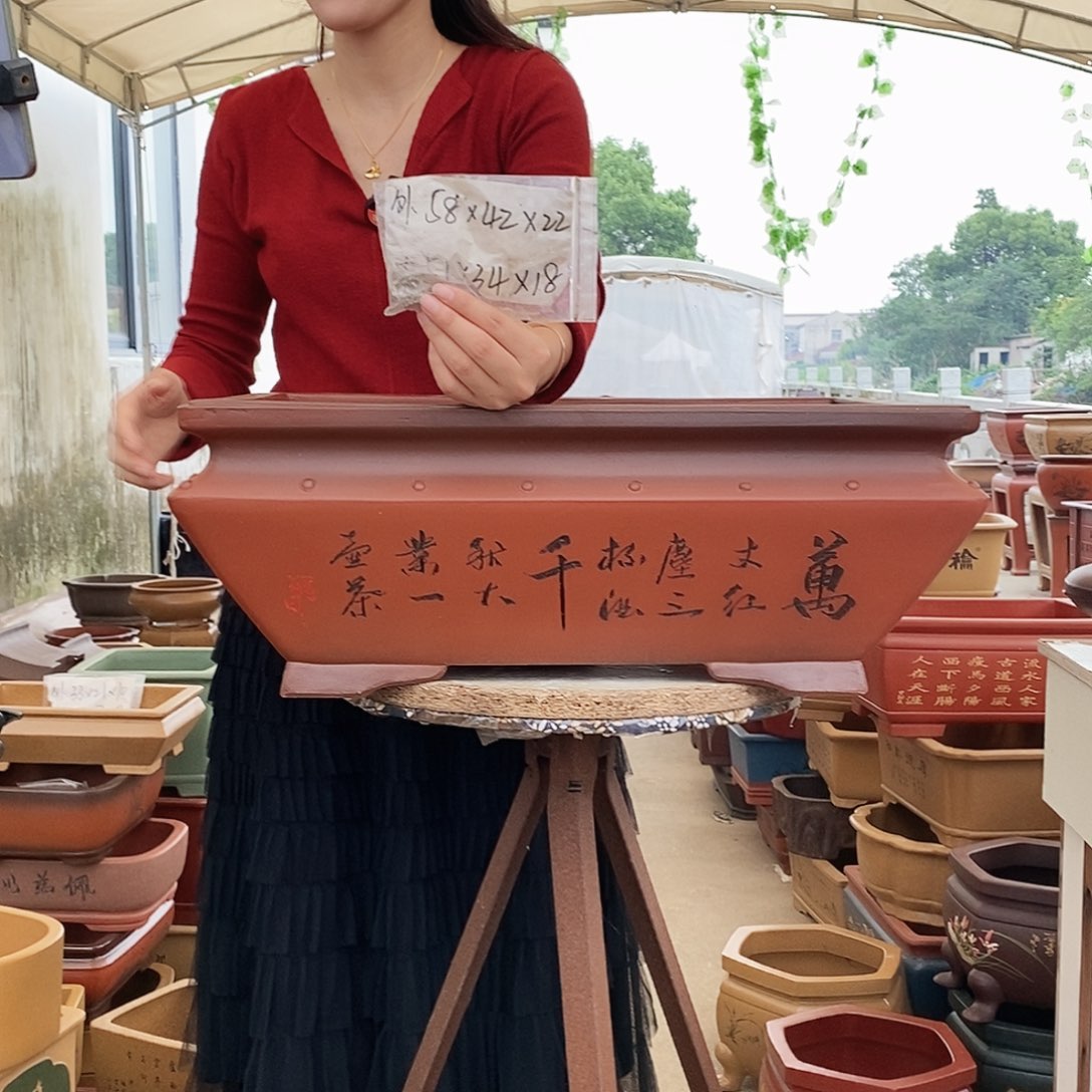 紫砂花盆紫砂花盆