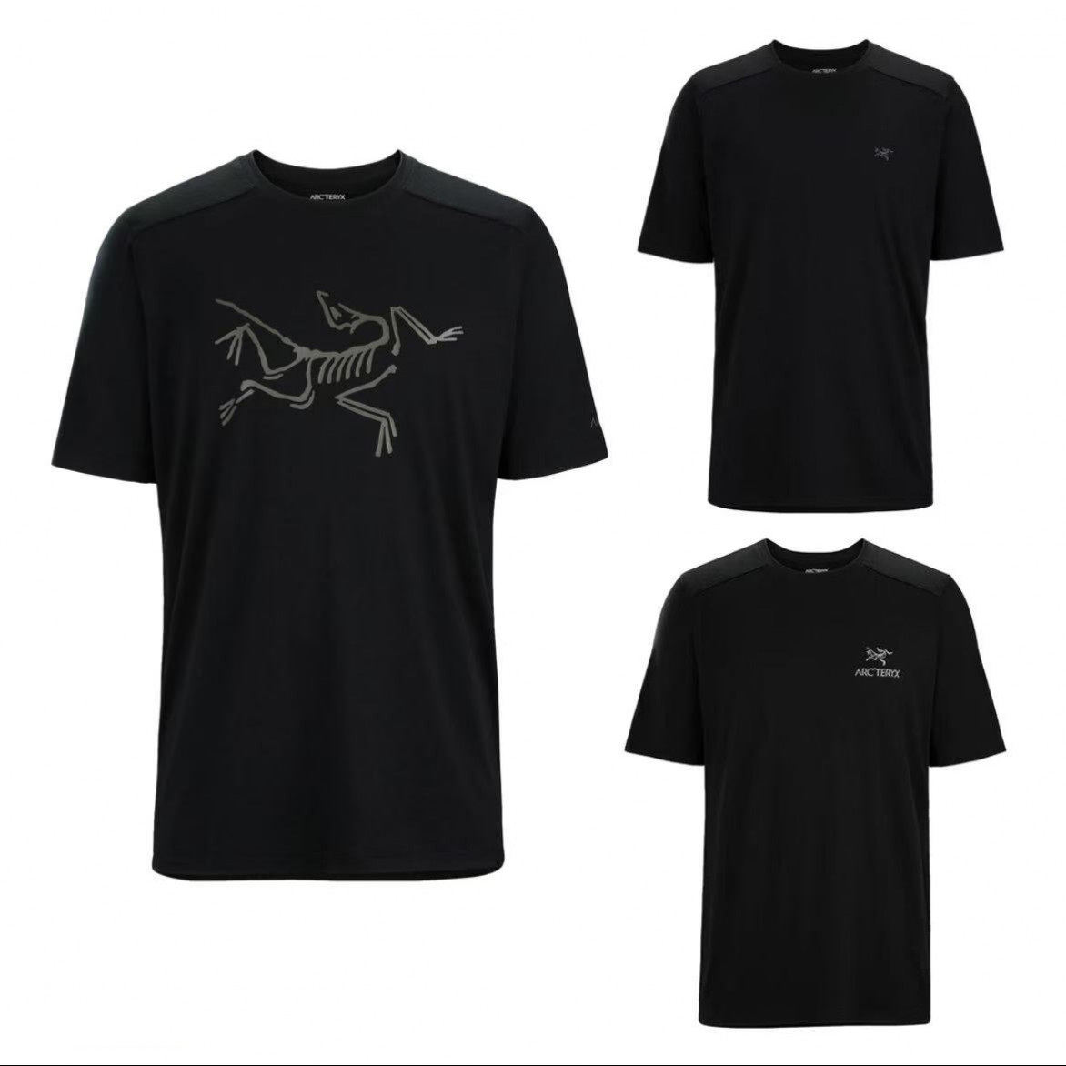 ARC'TERYX/始祖鸟lonia Merino Wool  休闲羊毛印花圆领短袖