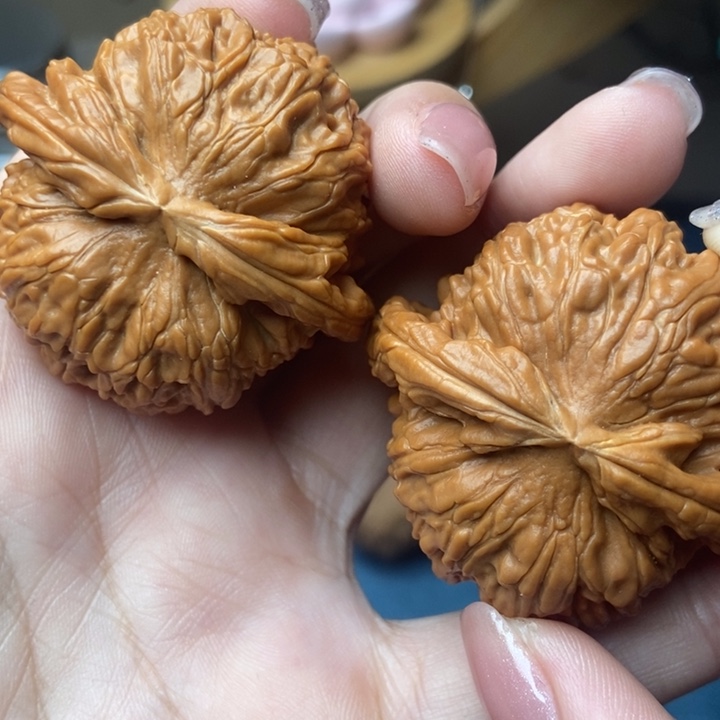 把件文玩核桃44白狮子