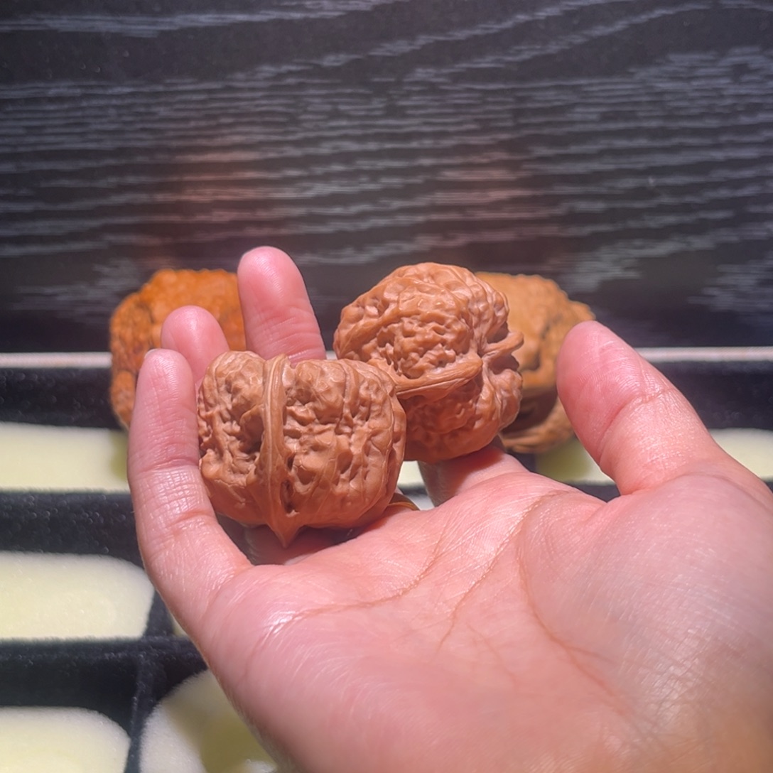 山***花大叶紫檀（黑酸枝木类）蛤蟆