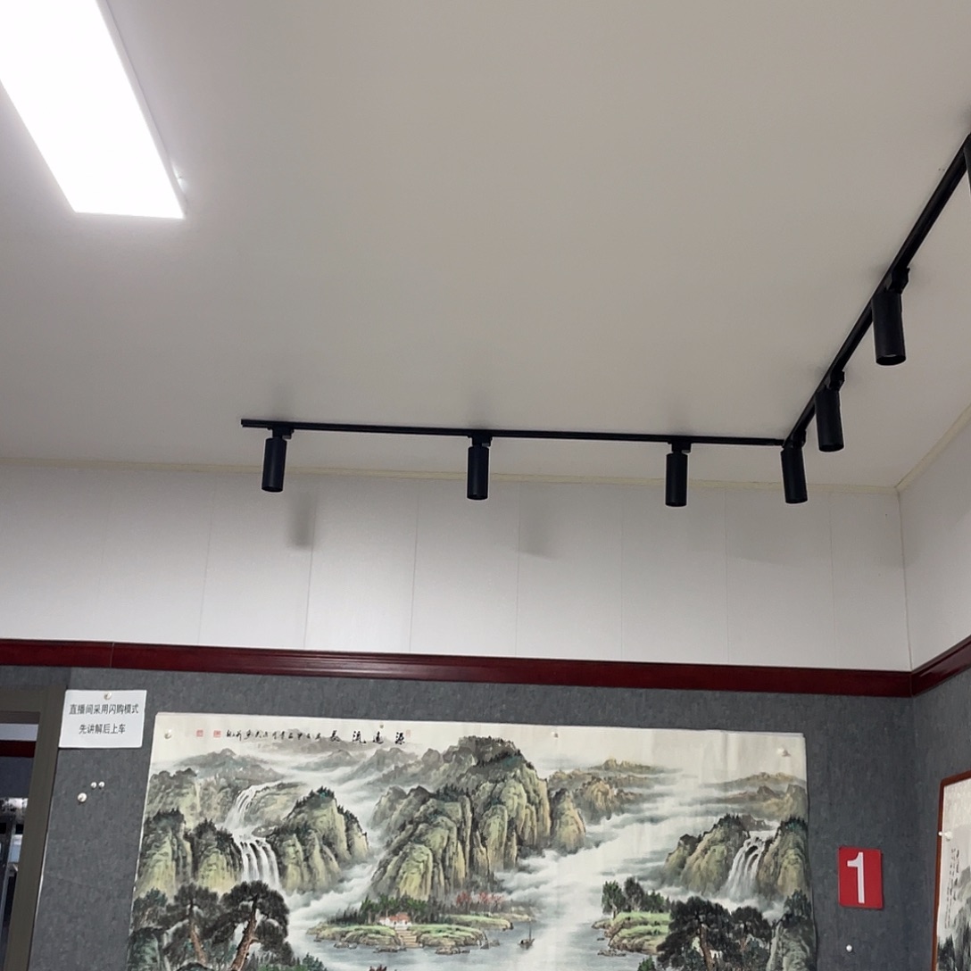 国画武小八尺画芯 捡漏