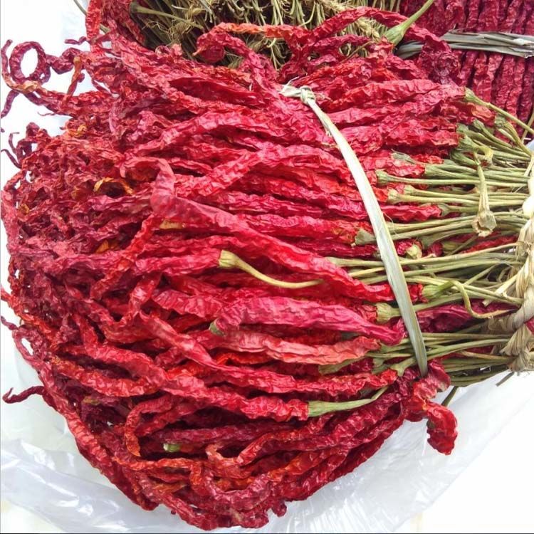 贵州特产 大方二荆条 皱皮椒 鸡爪辣 微辣不辣特香干辣椒干货