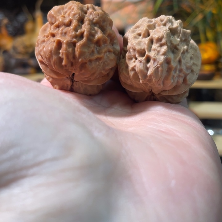 文玩核桃把件编号73