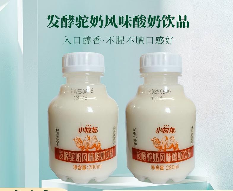 小牧友新疆骆驼老酸奶风味饮品新疆黄金奶源地酸甜可口醇香丝滑