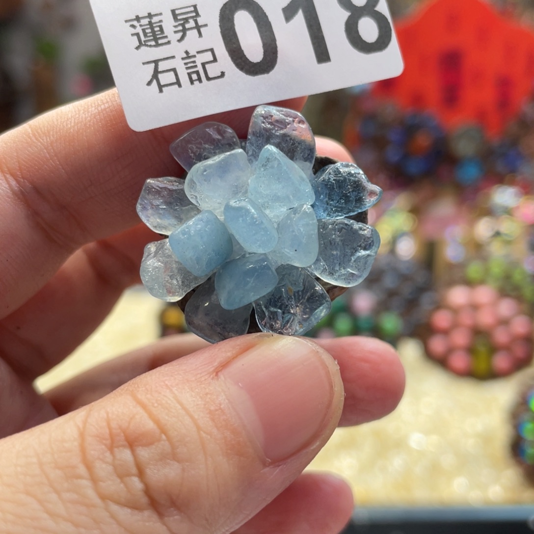 核桃木/黑胡桃（胡桃木）018