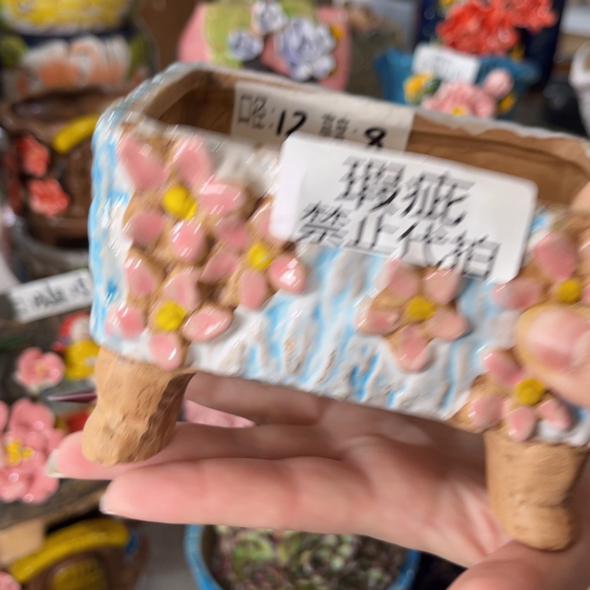 【闪购商品】红陶福利