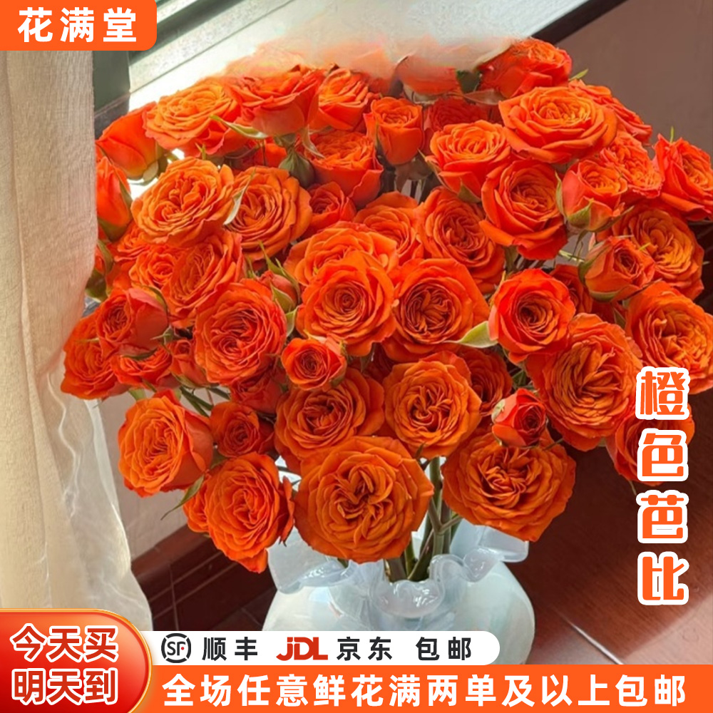 特价【次日达·橙芭比】鲜花橙色芭比5枝多头玫瑰鲜切花生活鲜花·基地直发·批发·全场两单鲜花顺丰包邮·次日达