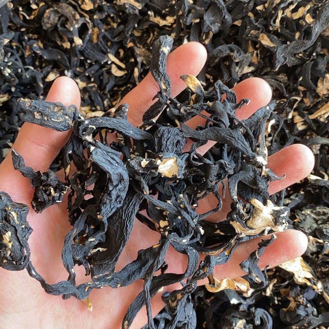 云南高山乌玲《灵》参根