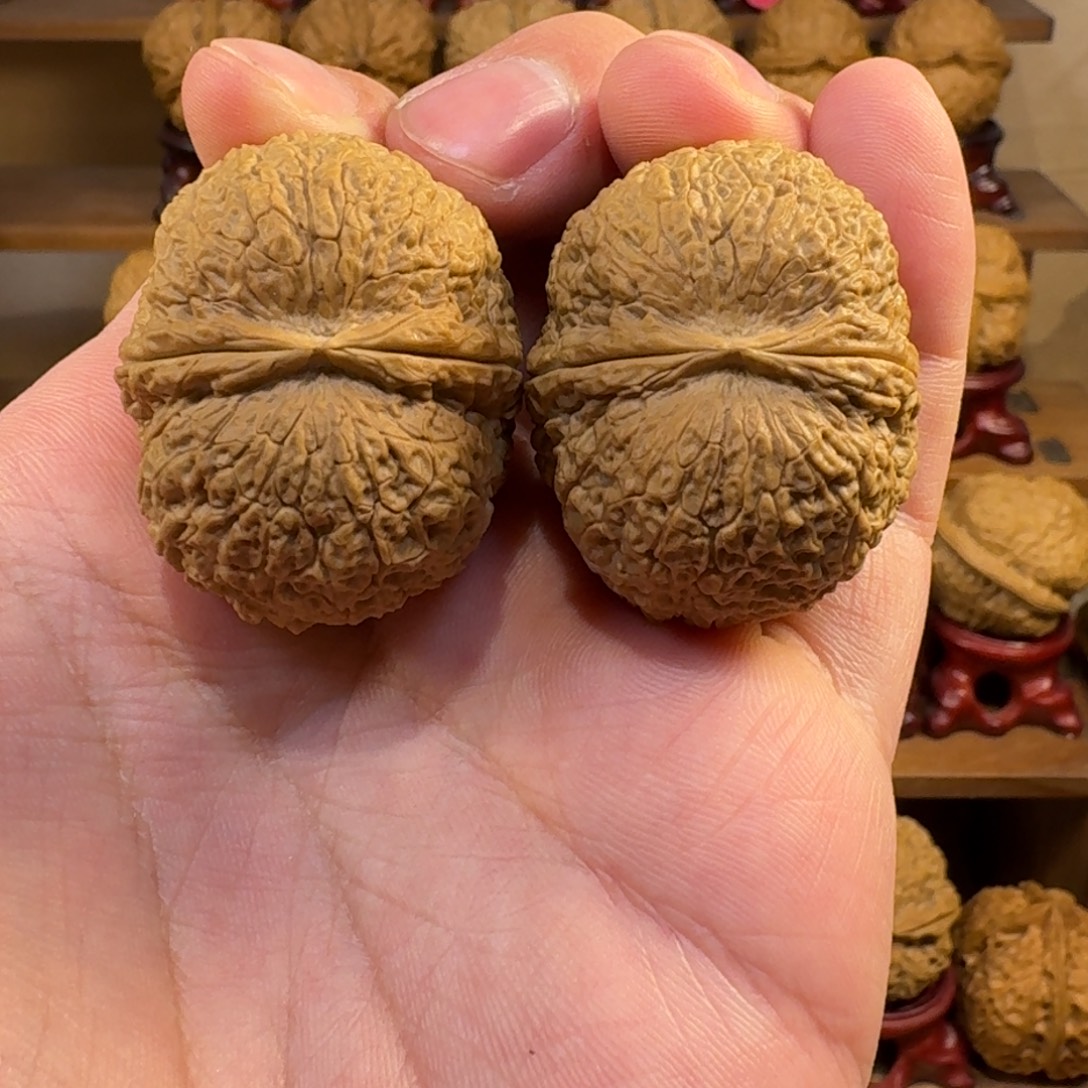 铁核桃把件荔枝元宝