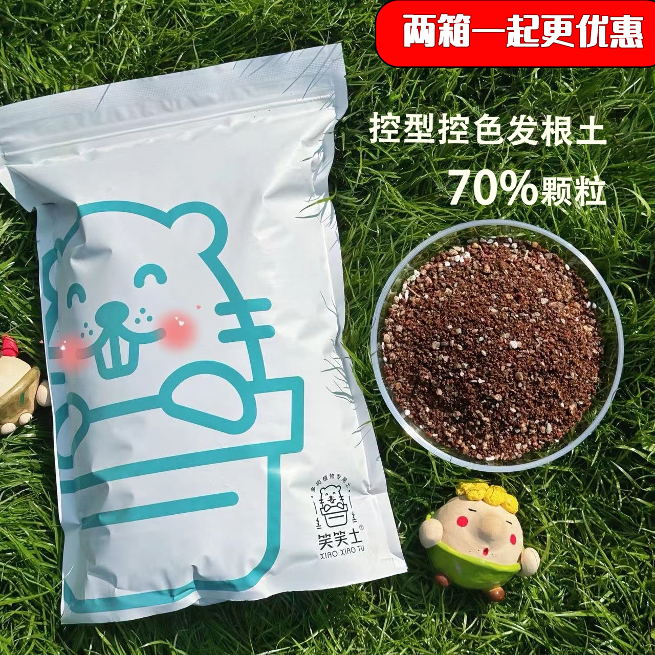 笑笑土自制多肉植物颗粒土铺面石种植专用肉肉营养土通用配方基质