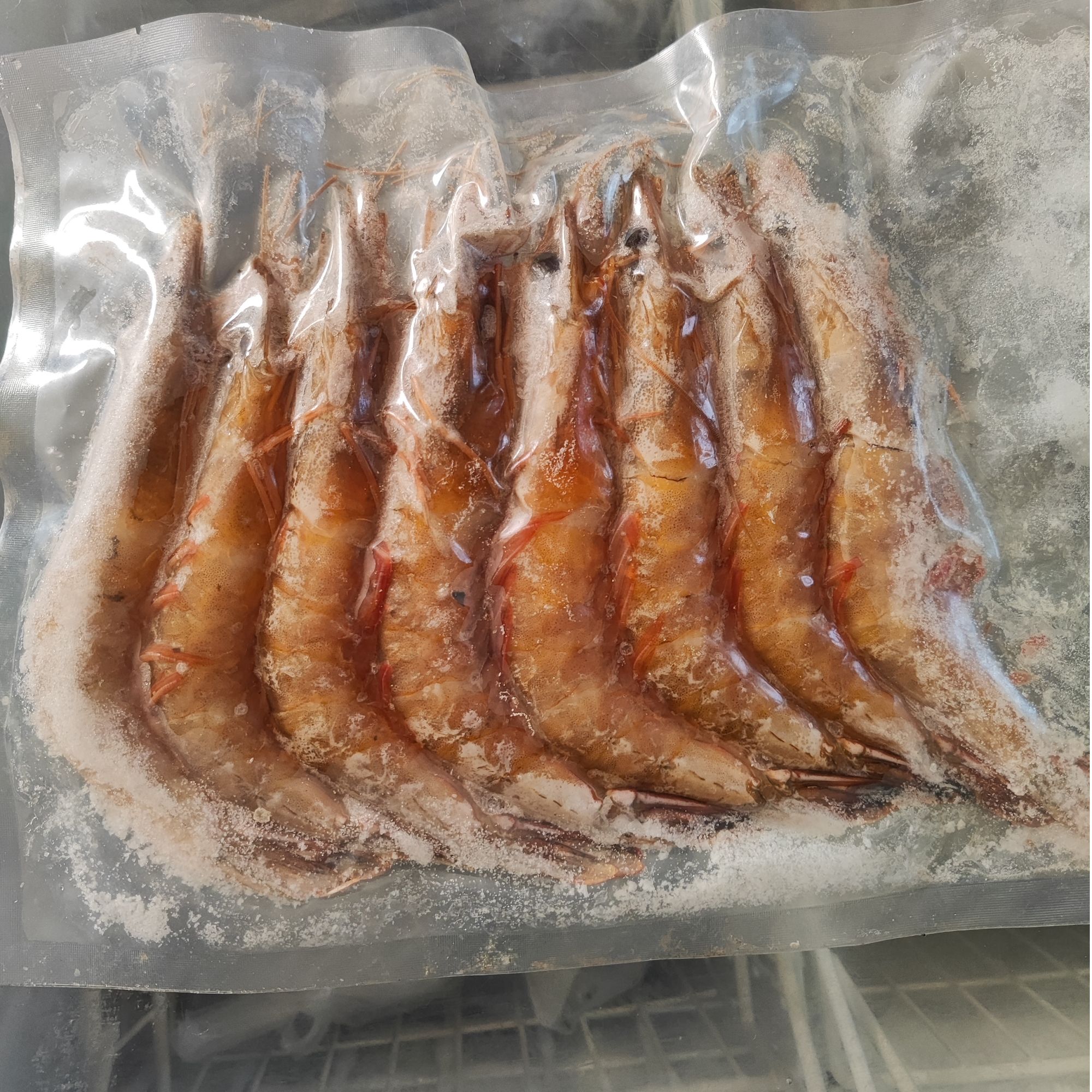 黄哨子虾 渤海湾当地野生海虾