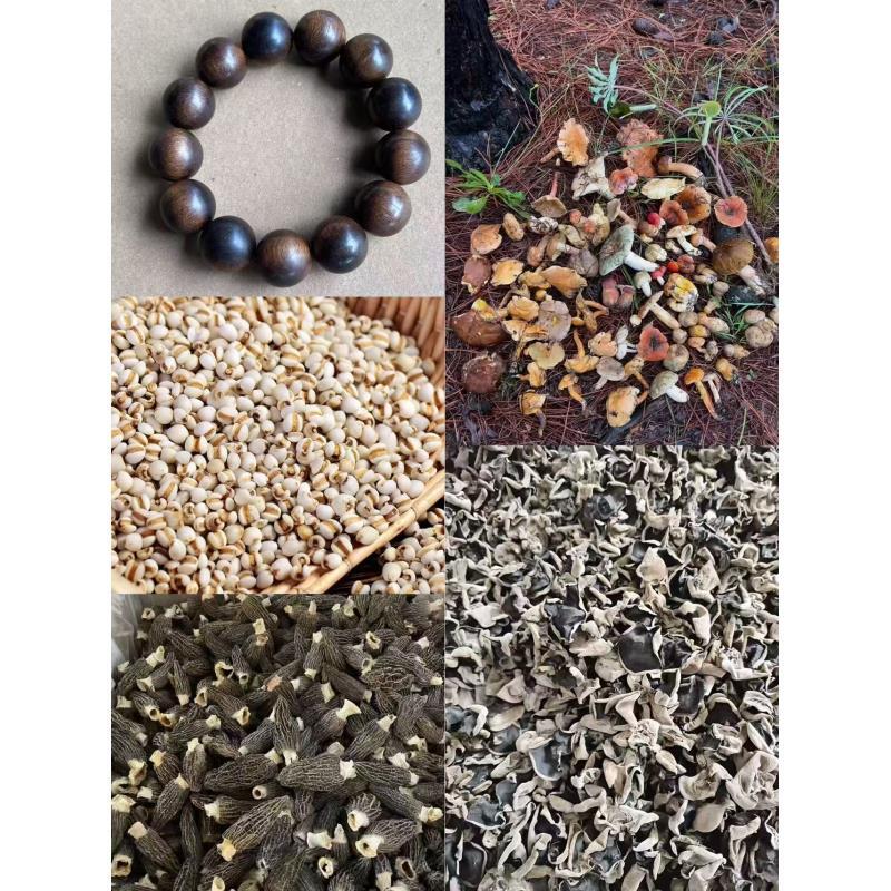 干货特产【专属土特SJ4号SJWNZQ1.8】多样性发货