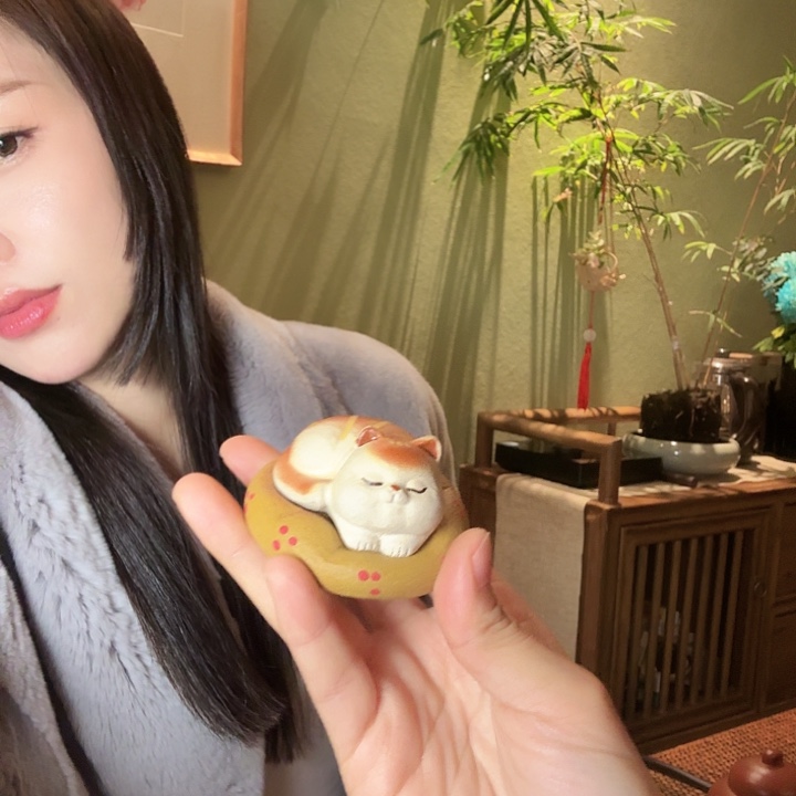 哇***叔紫砂茶壶黄金段猫咪