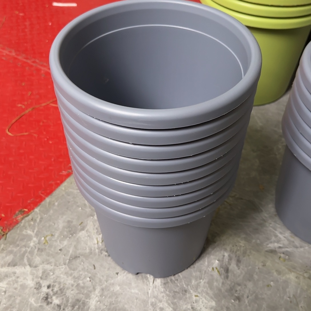 编号2017，4号无托