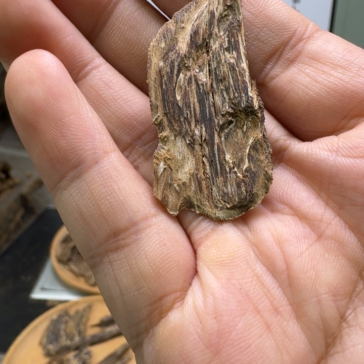 海南虎斑棋0.8克。 