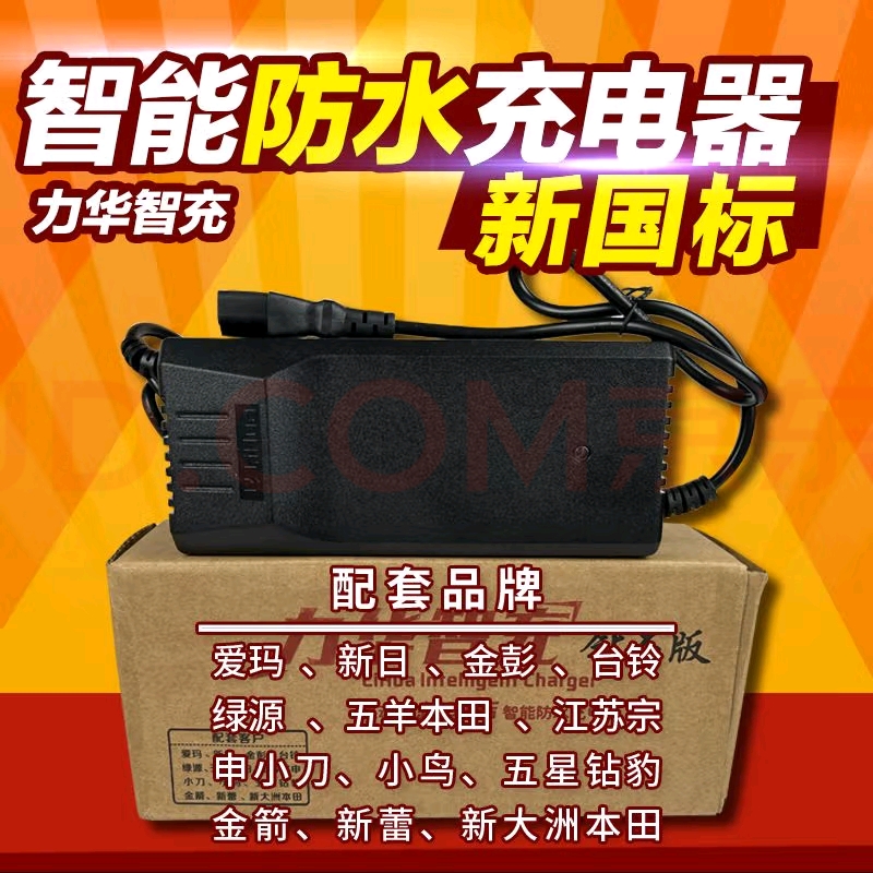 力华电动车铅酸60V20绿源插头原装正品充电器