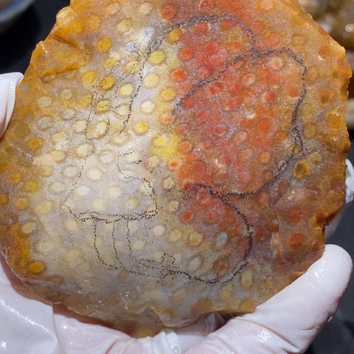 【闪购商品】未镶嵌珊瑚玉硅化玉