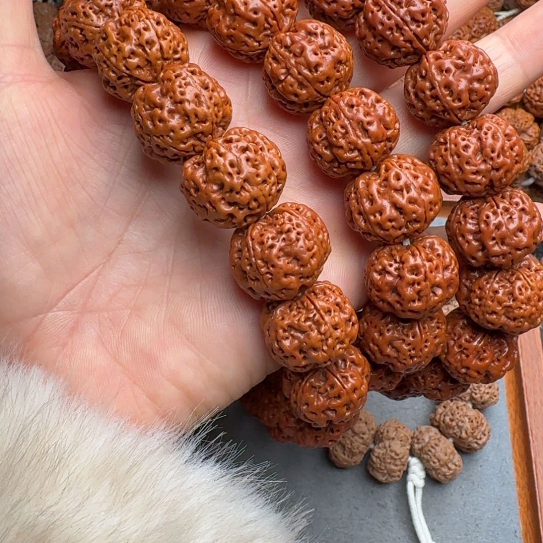 琦***菩提菩提5号尼泊尔大金刚21爆肉梁