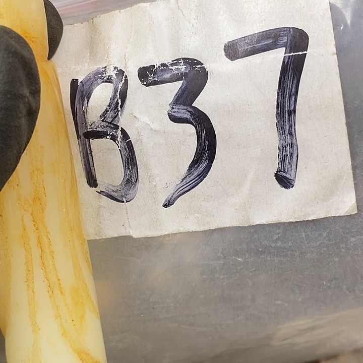 7***1德宝文玩专属链接