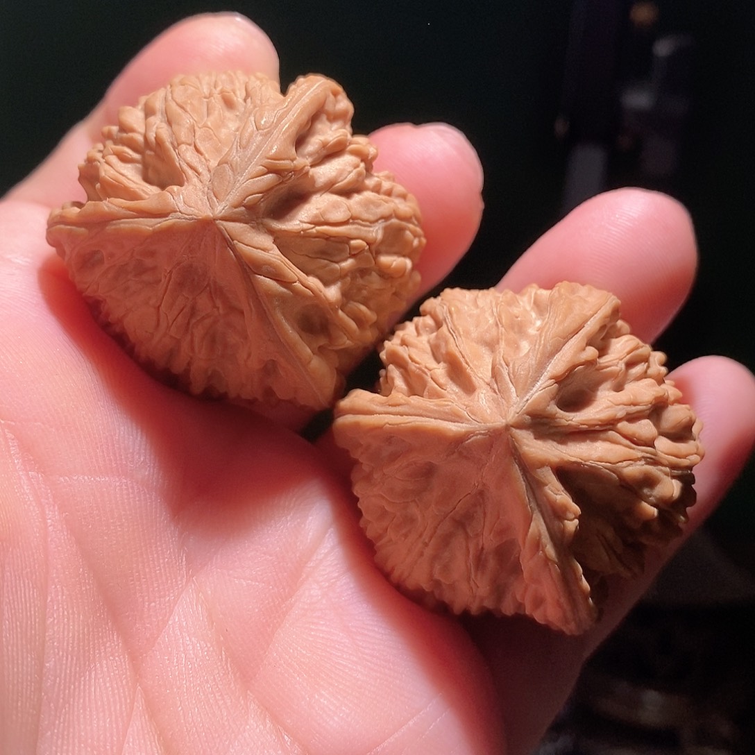 把件文玩核桃42文山三棱全品