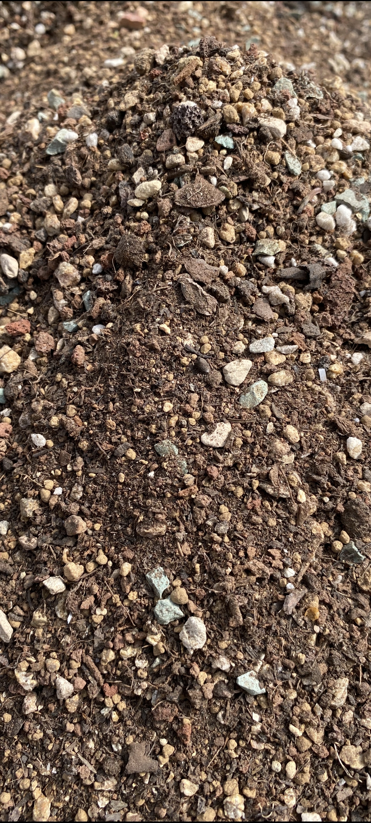 多肉植物私人订制专用颗粒土（需告知生长还是控养类型）多肉专用