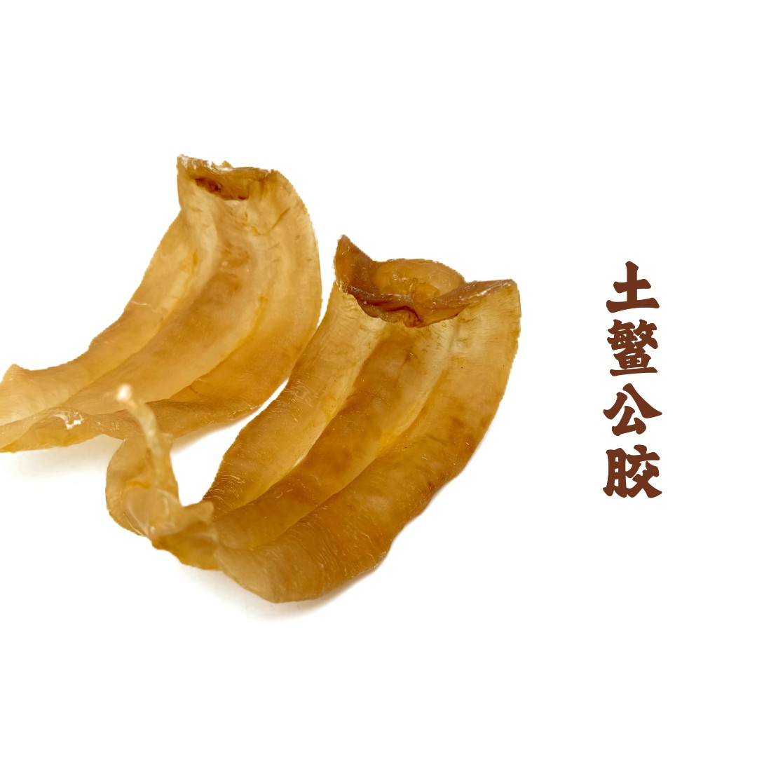 土鳘公鱼胶花胶海产干货