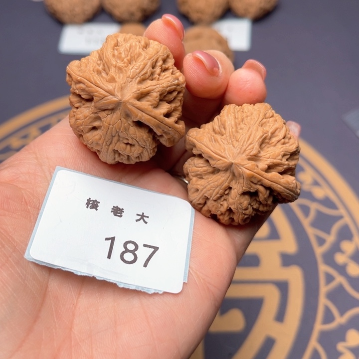 文玩核桃把件38大粗筋 187